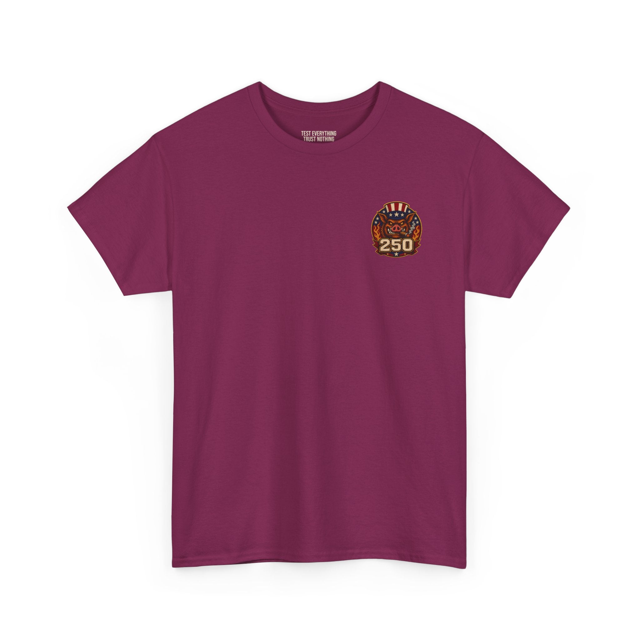 BBQ Test Pit America's 250th Birthday Shirt | Limited Edition Patriotic Graphic Tee 5000