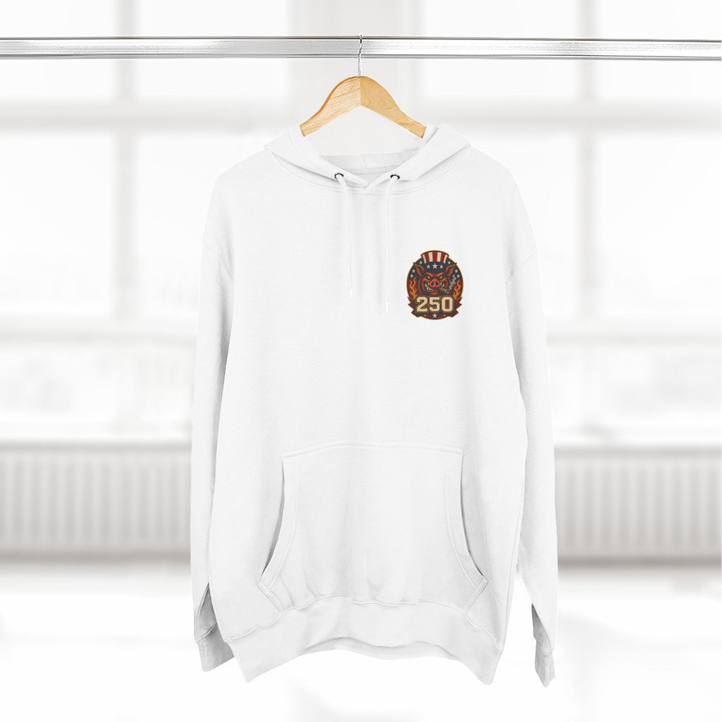 BBQ Test Pit America's 250th Birthday Hoodie | Limited Edition Patriotic Fleece
