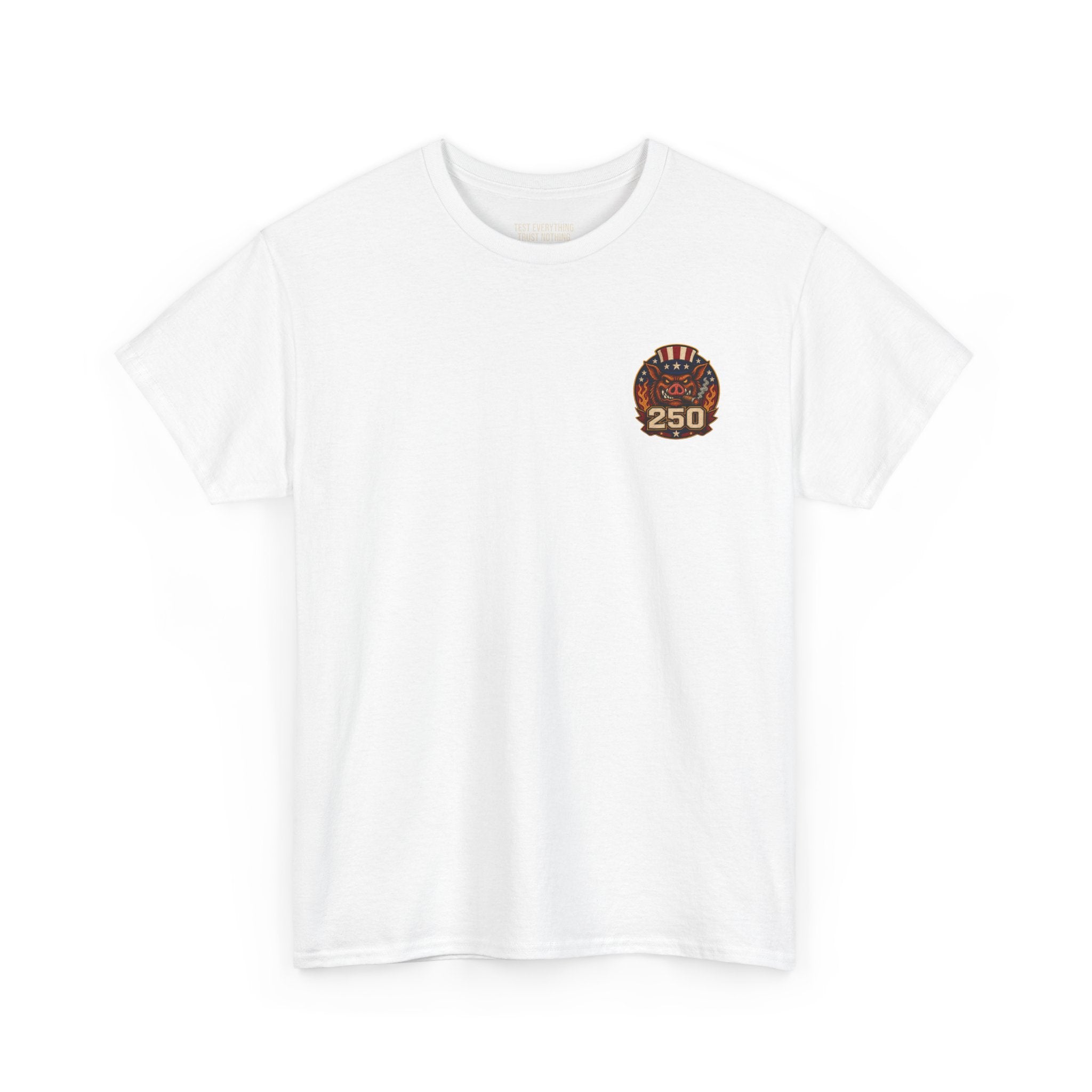 BBQ Test Pit America's 250th Birthday Shirt | Limited Edition Patriotic Graphic Tee 5000