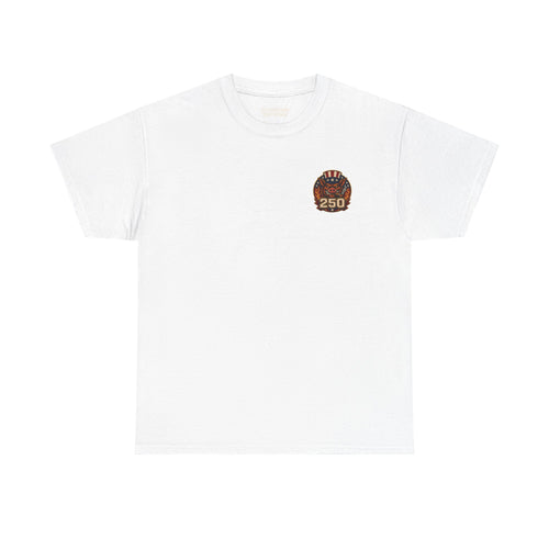 BBQ Test Pit America's 250th Birthday Shirt | Limited Edition Patriotic Graphic Tee 5000
