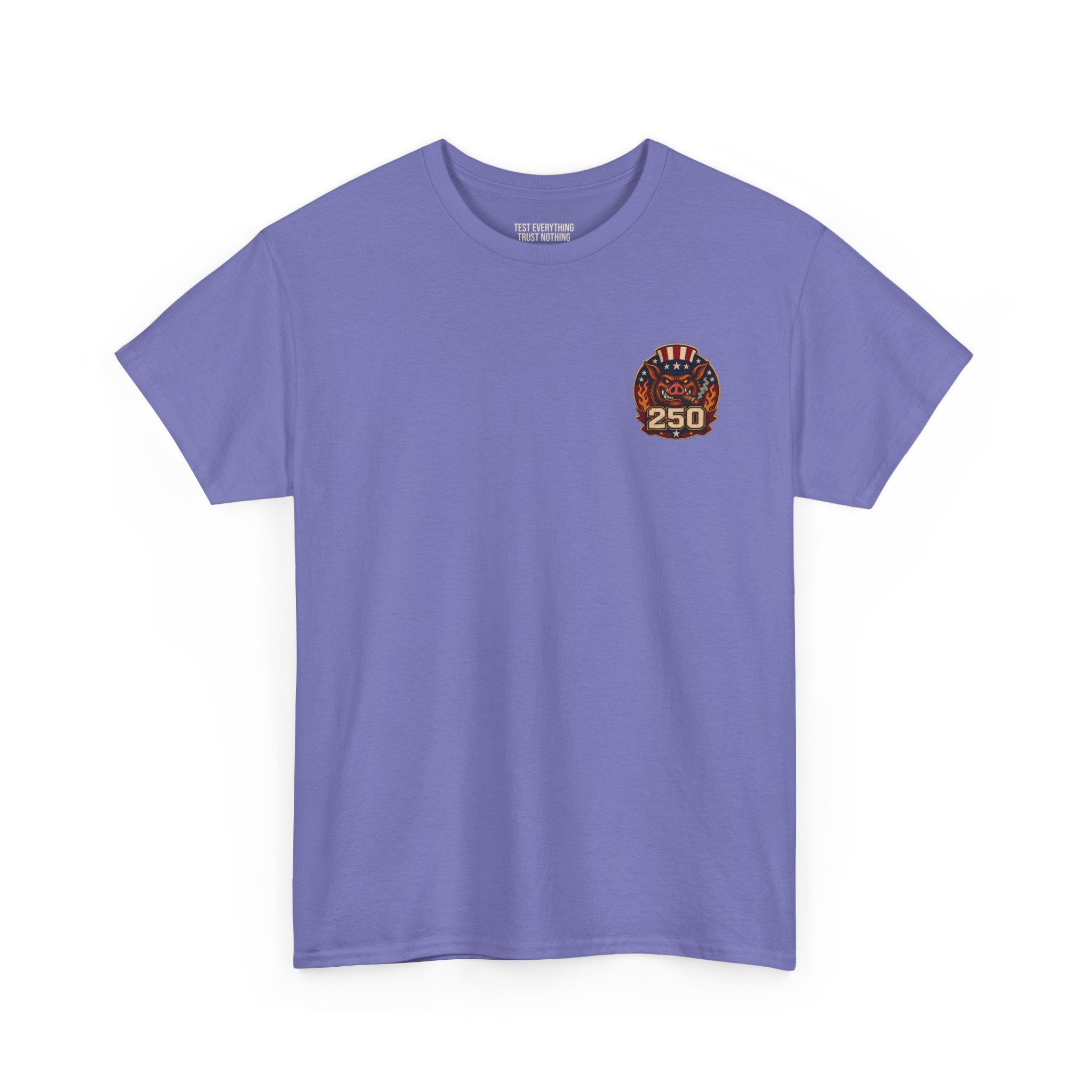 BBQ Test Pit America's 250th Birthday Shirt | Limited Edition Patriotic Graphic Tee 5000