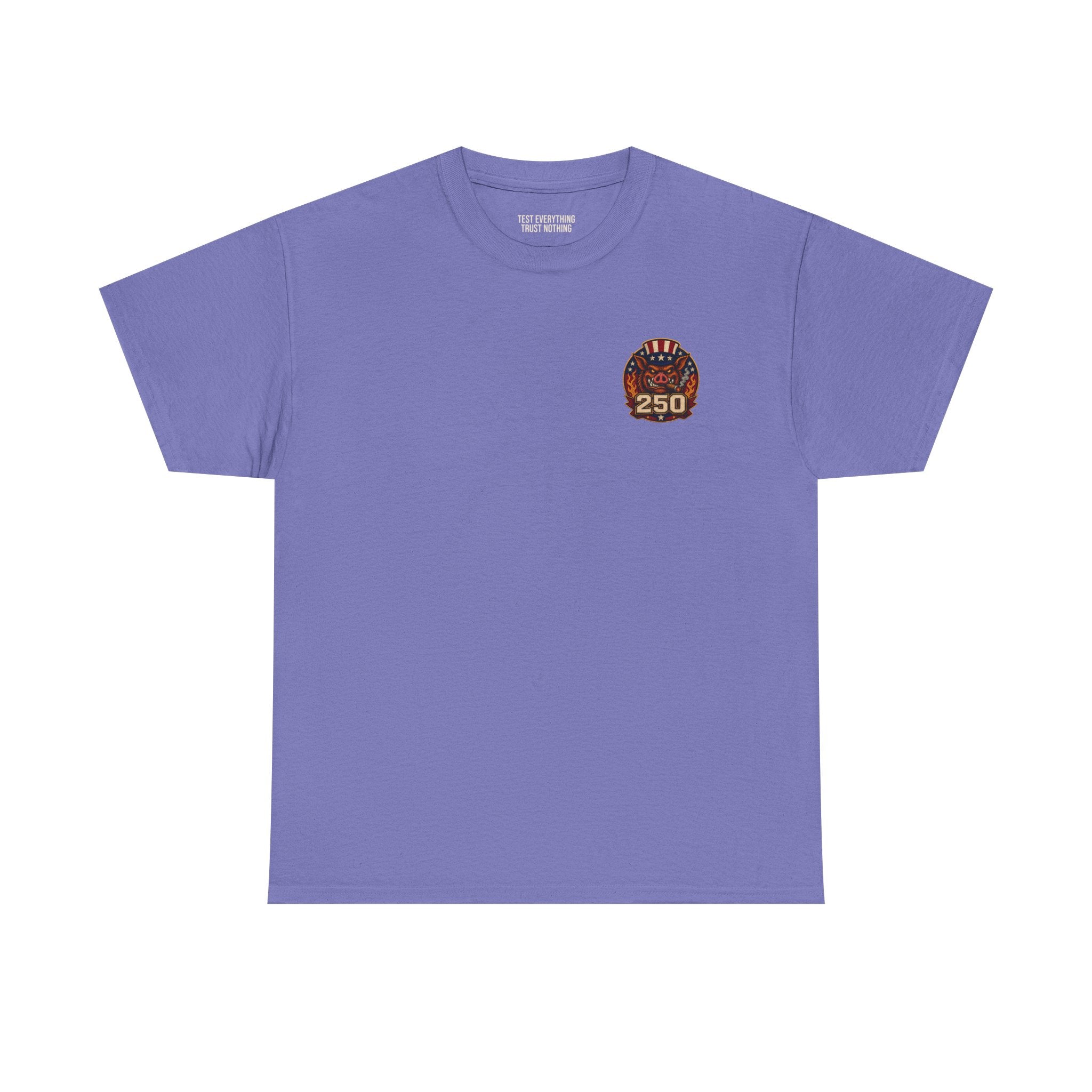 BBQ Test Pit America's 250th Birthday Shirt | Limited Edition Patriotic Graphic Tee 5000