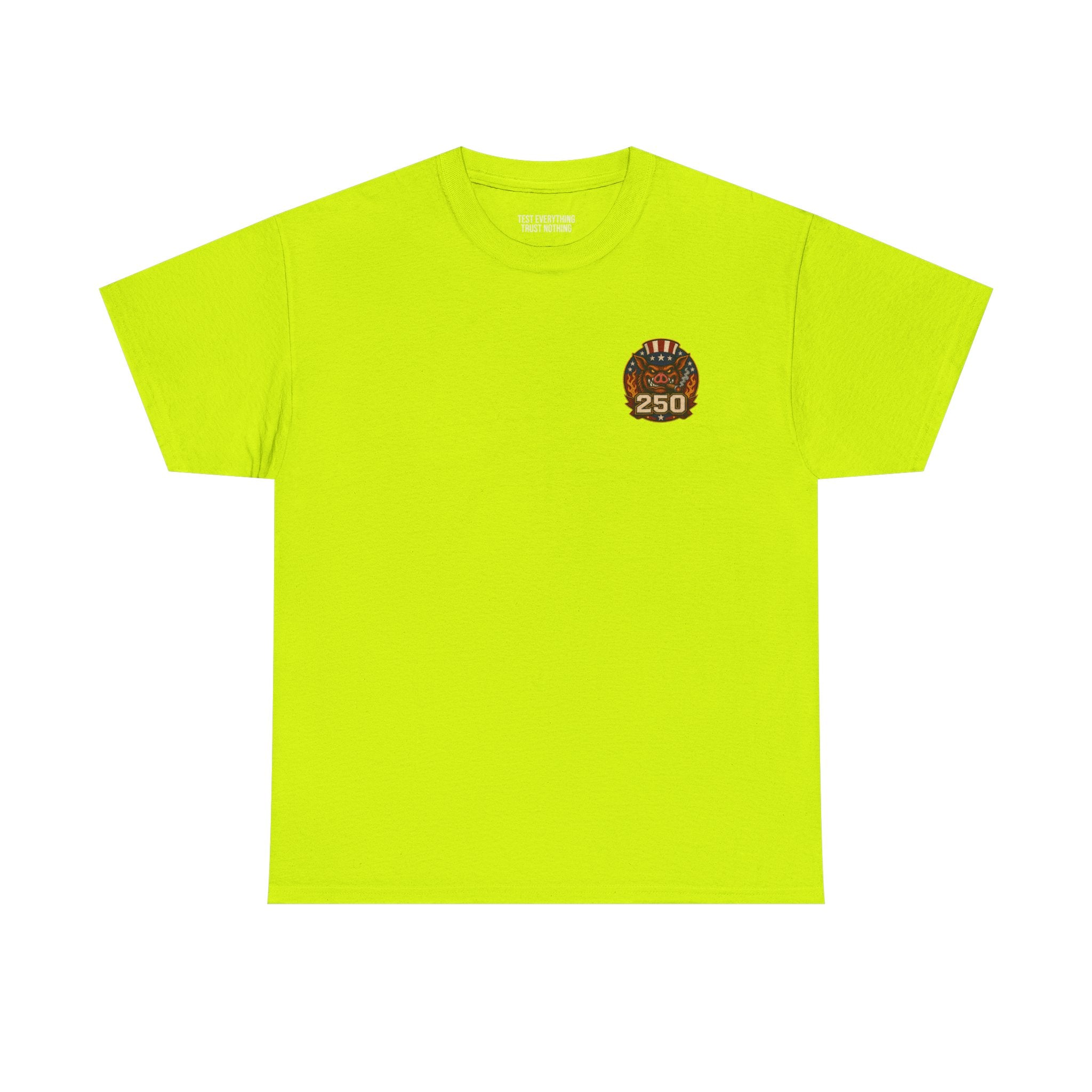 BBQ Test Pit America's 250th Birthday Shirt | Limited Edition Patriotic Graphic Tee 5000