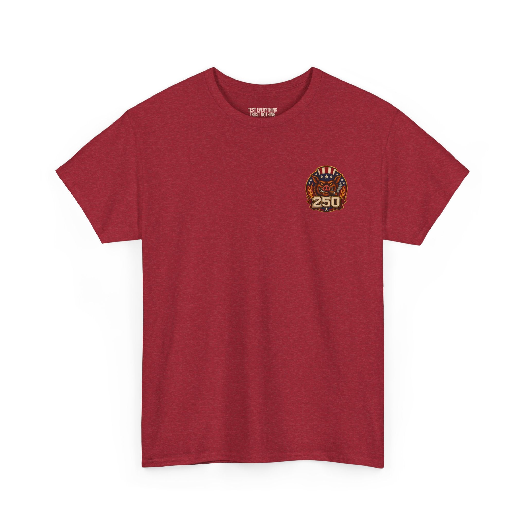 BBQ Test Pit America's 250th Birthday Shirt | Limited Edition Patriotic Graphic Tee 5000