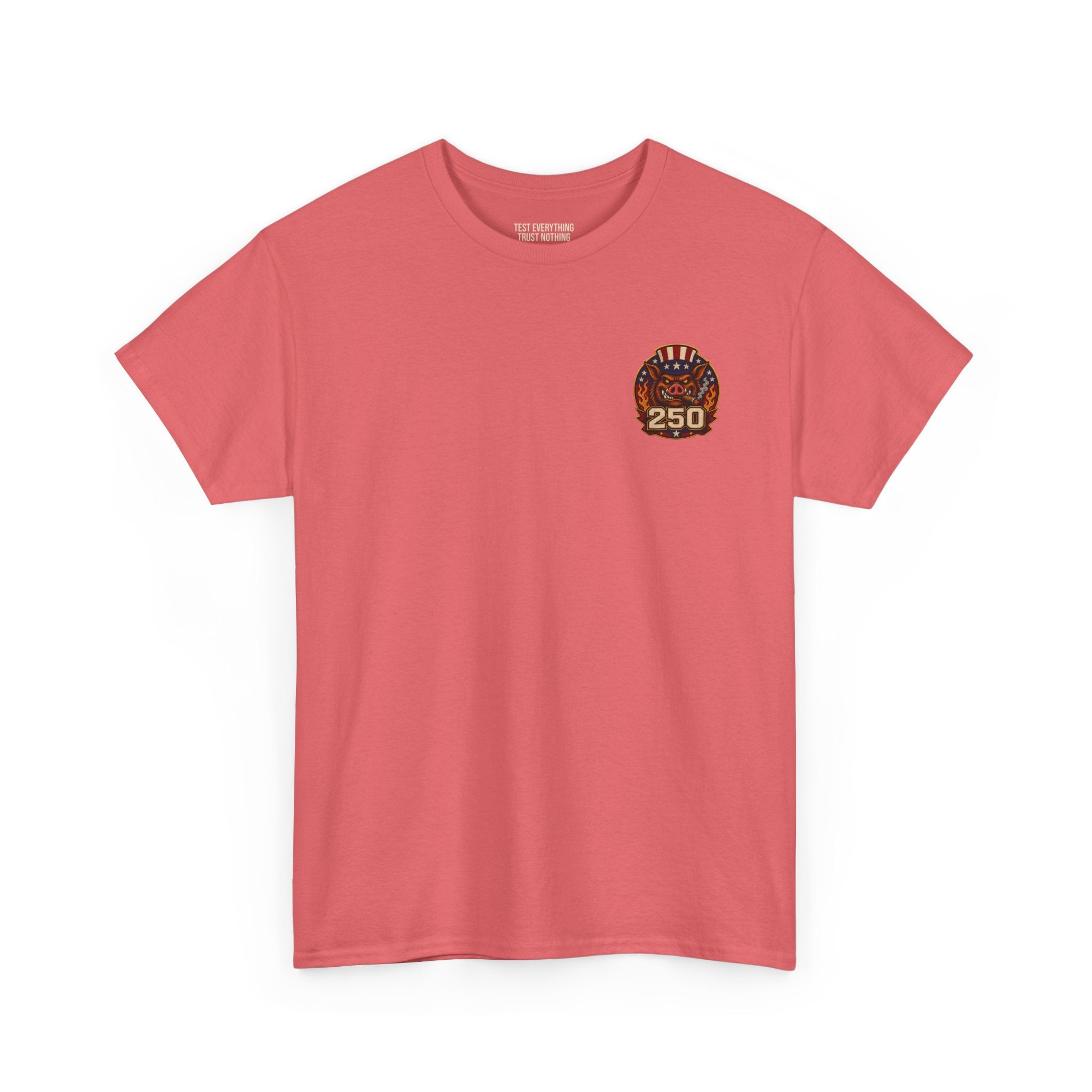 BBQ Test Pit America's 250th Birthday Shirt | Limited Edition Patriotic Graphic Tee 5000
