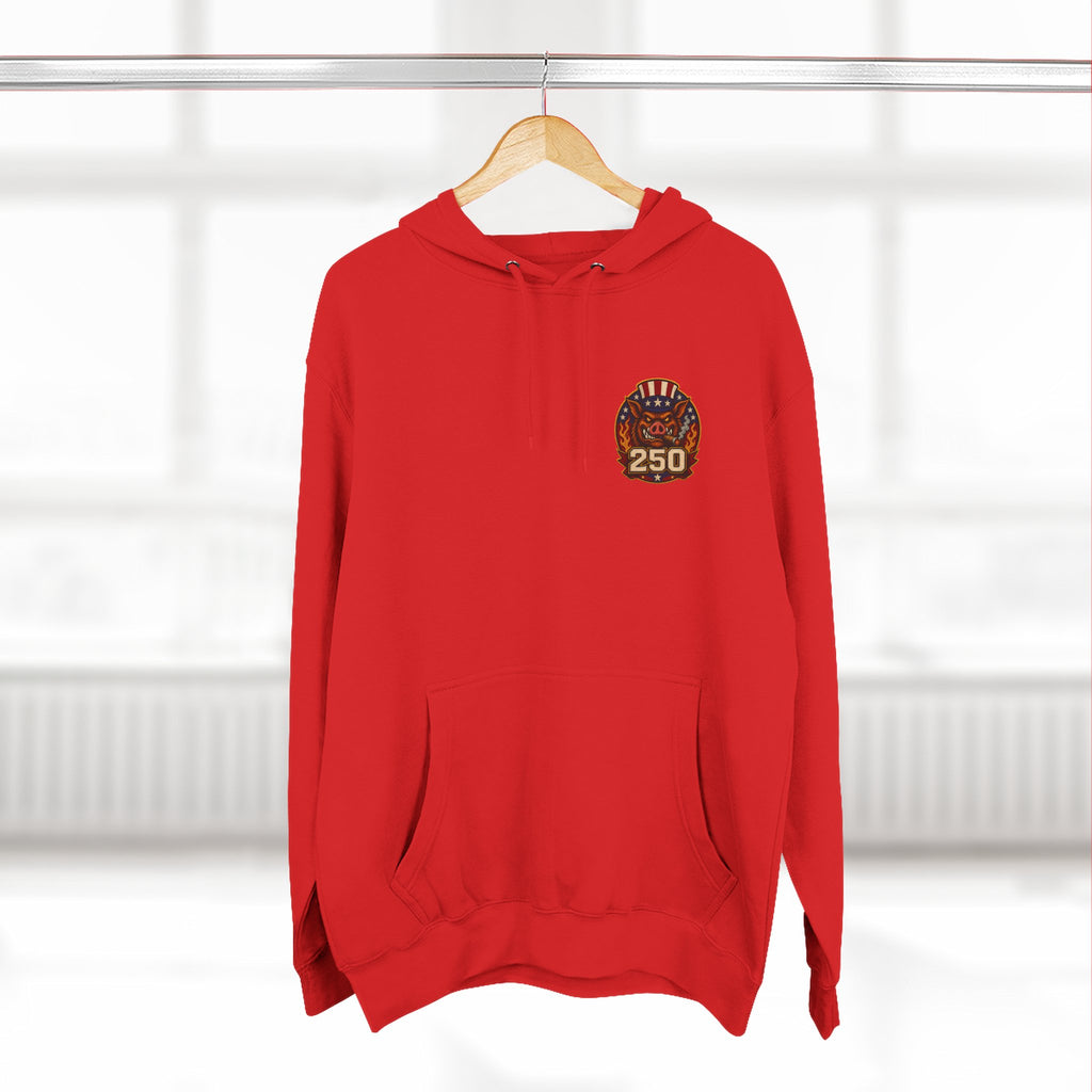 BBQ Test Pit America's 250th Birthday Hoodie | Limited Edition Patriotic Fleece