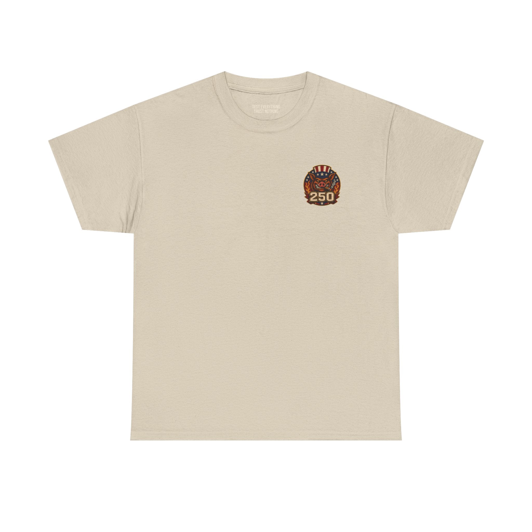 BBQ Test Pit America's 250th Birthday Shirt | Limited Edition Patriotic Graphic Tee 5000