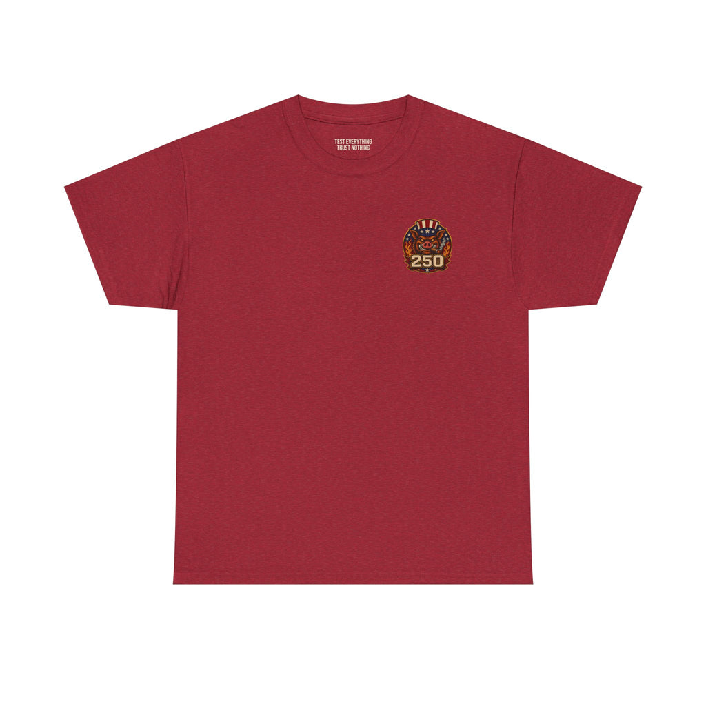 BBQ Test Pit America's 250th Birthday Shirt | Limited Edition Patriotic Graphic Tee 5000