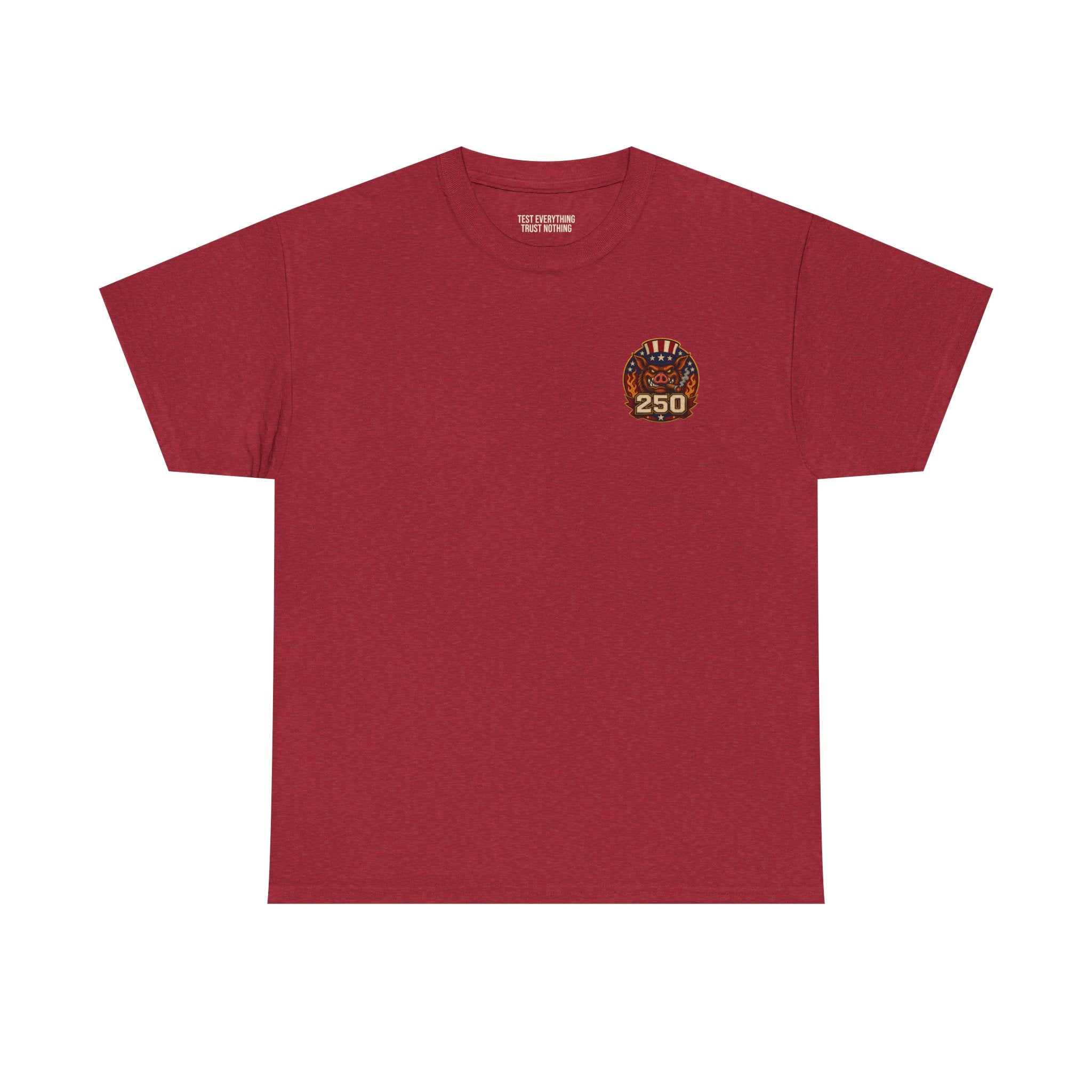 BBQ Test Pit America's 250th Birthday Shirt | Limited Edition Patriotic Graphic Tee 5000