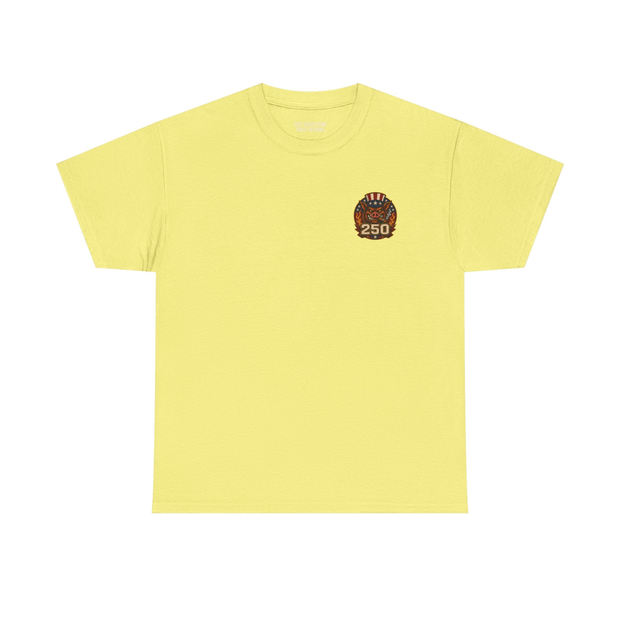 BBQ Test Pit America's 250th Birthday Shirt | Limited Edition Patriotic Graphic Tee 5000