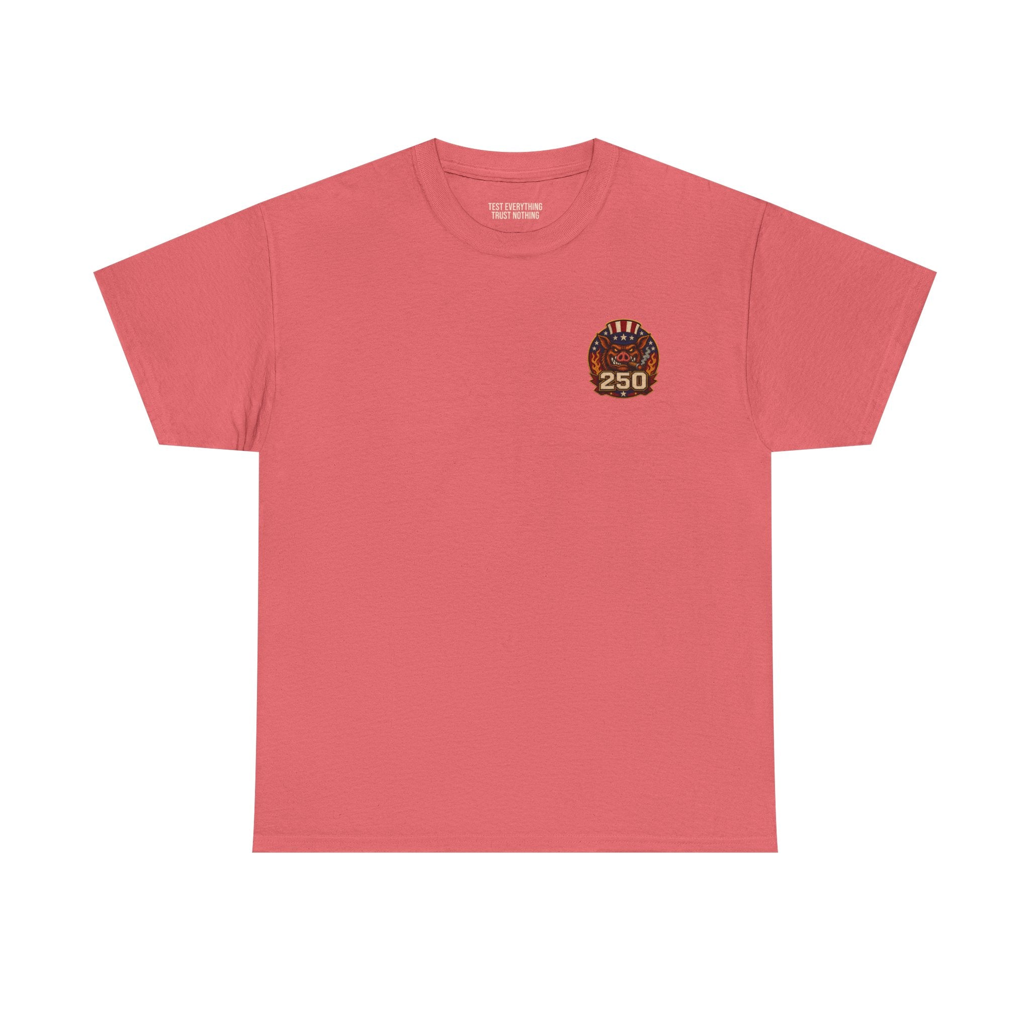BBQ Test Pit America's 250th Birthday Shirt | Limited Edition Patriotic Graphic Tee 5000