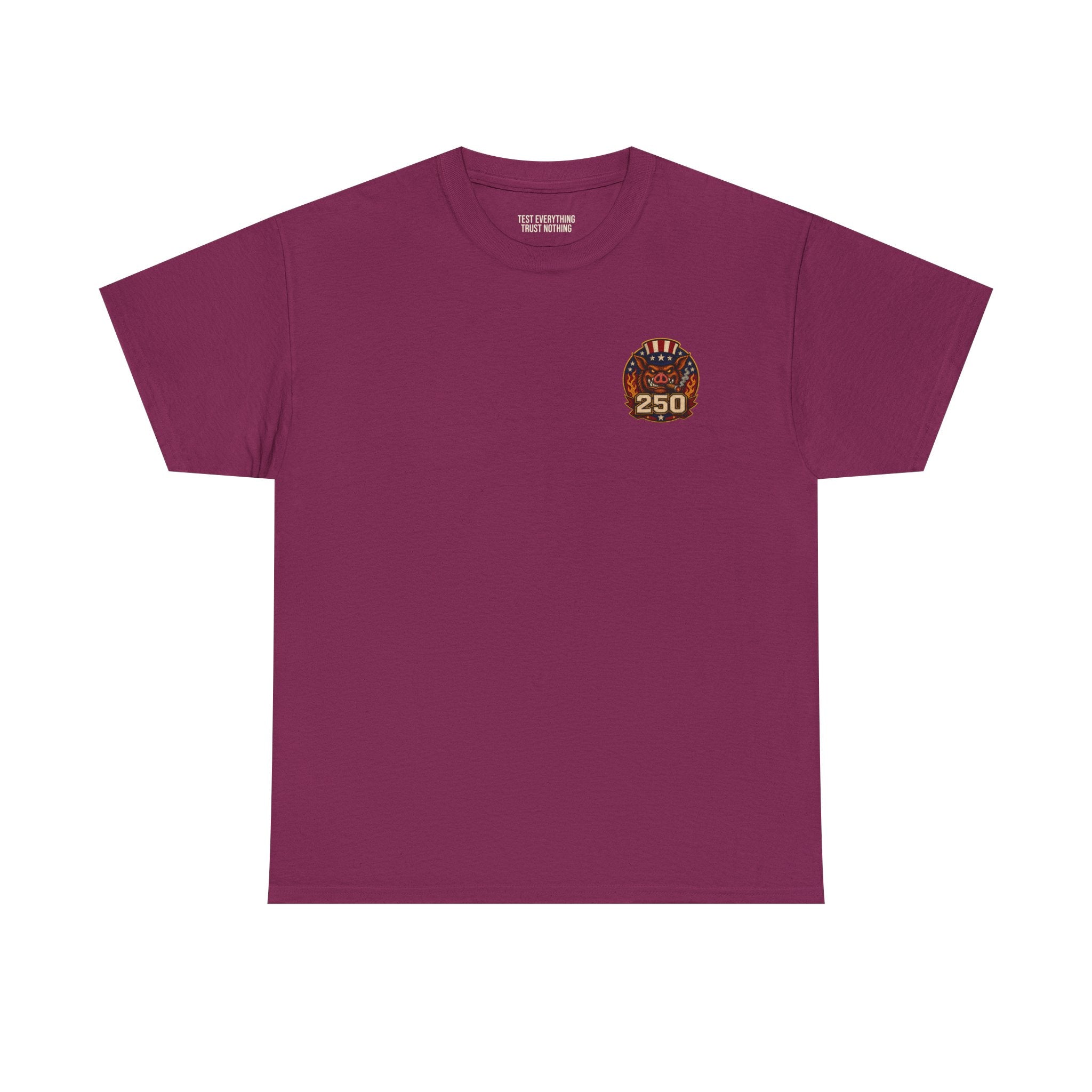 BBQ Test Pit America's 250th Birthday Shirt | Limited Edition Patriotic Graphic Tee 5000