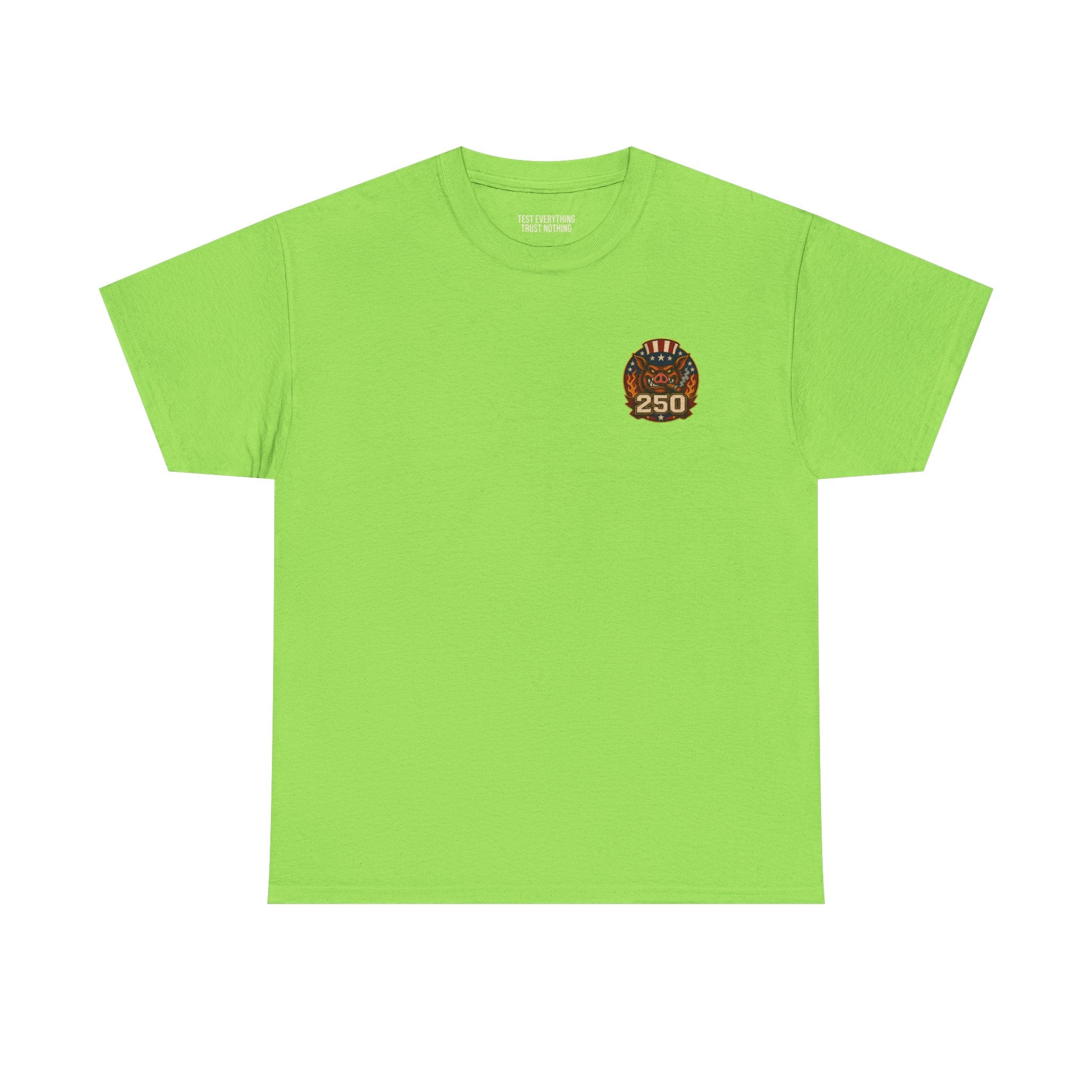 BBQ Test Pit America's 250th Birthday Shirt | Limited Edition Patriotic Graphic Tee 5000